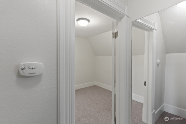 bathroom featuring vaulted ceiling