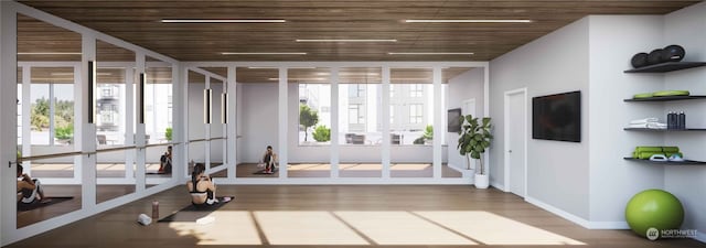 workout room featuring hardwood / wood-style flooring and french doors