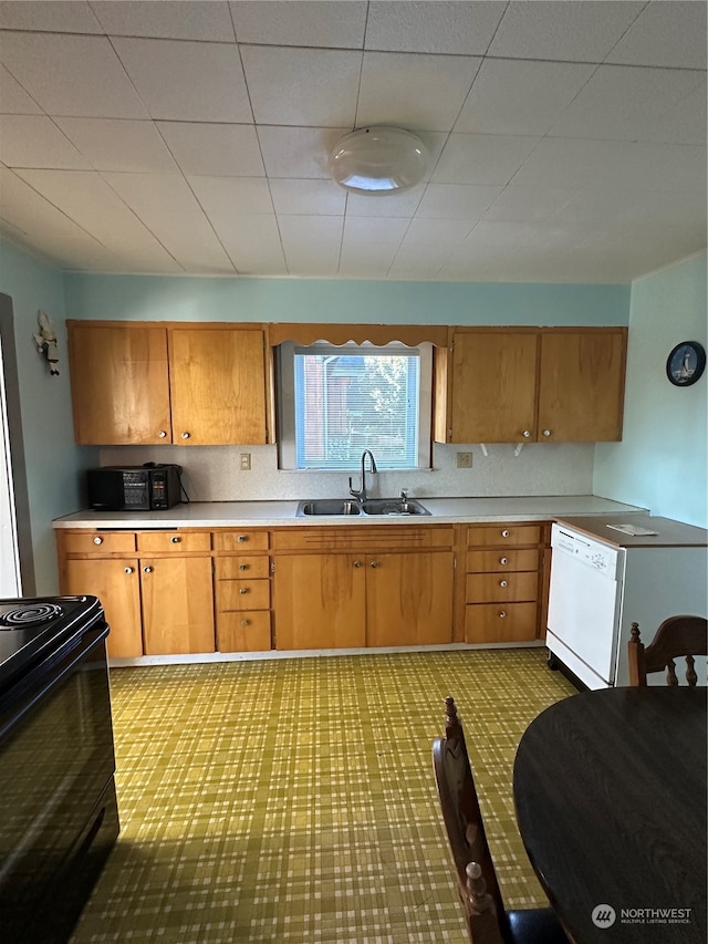 kitchen with black electric range, sink, and white dishwasher