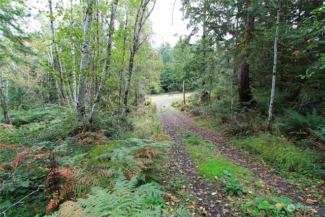 211 N Hamma Ridge Dr, Lilliwaup, WA 98555 - photo 1