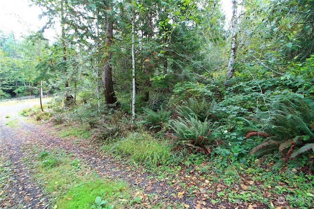 211 N Hamma Ridge Dr, Lilliwaup, WA 98555 - photo 2