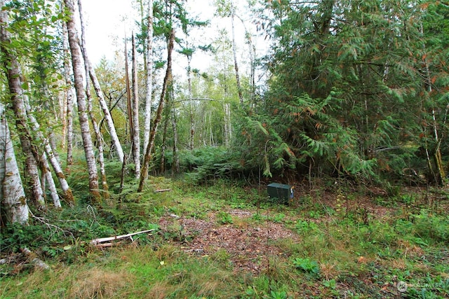 211 N Hamma Ridge Dr, Lilliwaup, WA 98555 - photo 4