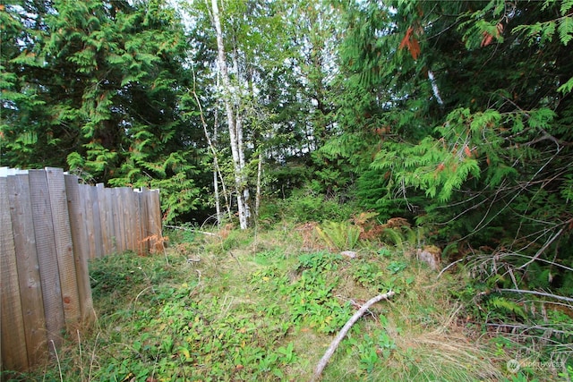 211 N Hamma Ridge Dr, Lilliwaup, WA 98555 - photo 9