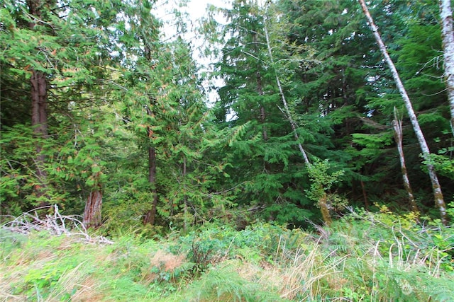 211 N Hamma Ridge Dr, Lilliwaup, WA 98555 - photo 11