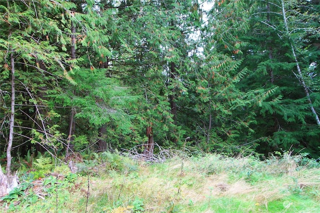 211 N Hamma Ridge Dr, Lilliwaup, WA 98555 - photo 12