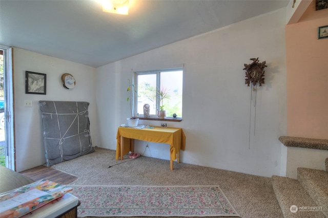 misc room featuring light carpet and lofted ceiling