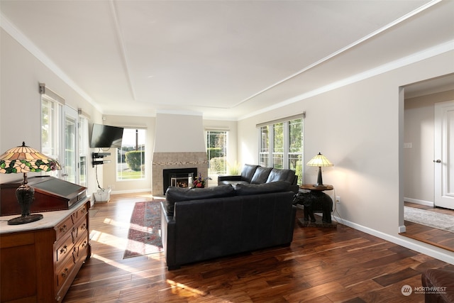 living room featuring a tiled fireplace and dark hardwood / wood-style flooring