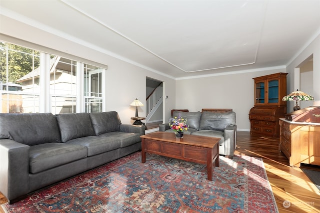 living room featuring ornamental molding and hardwood / wood-style floors