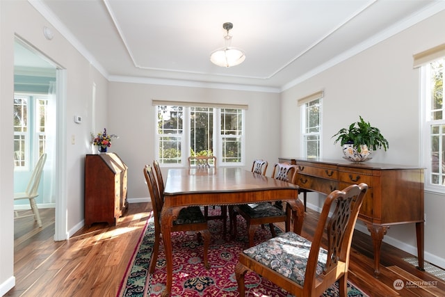 dining area with wood-type flooring, crown molding, and a wealth of natural light