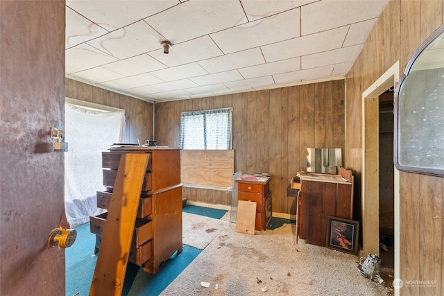 misc room with wood walls and carpet flooring