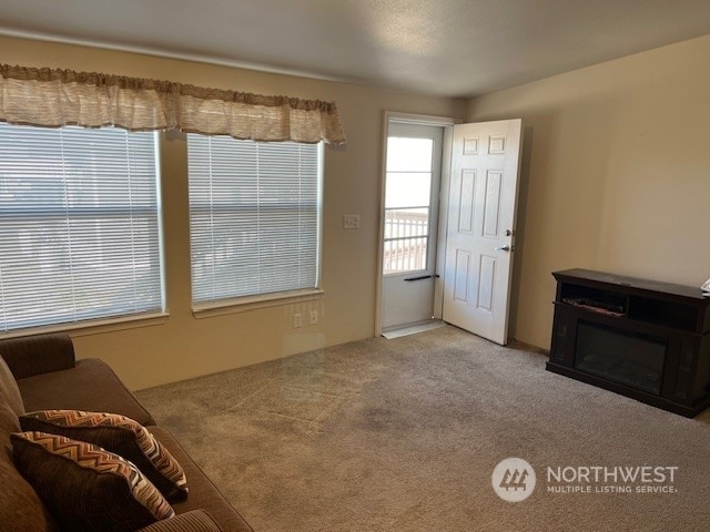 living room featuring light colored carpet