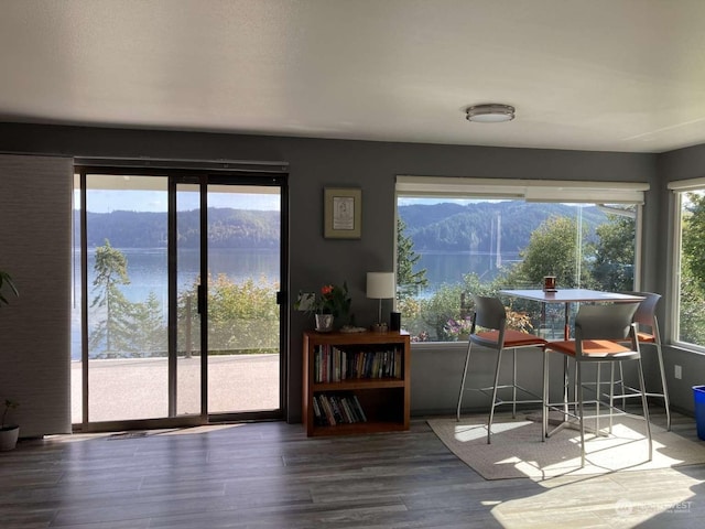 sunroom featuring a water and mountain view