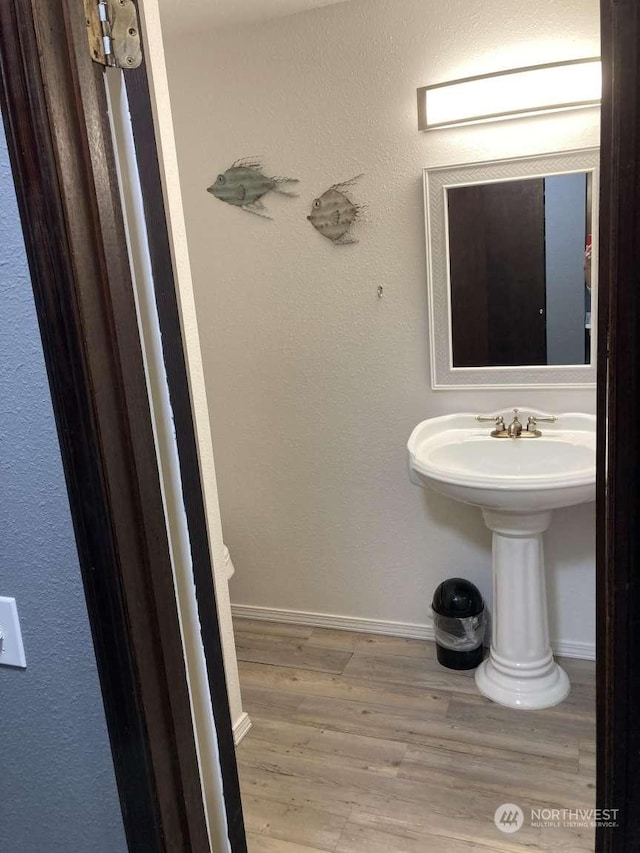 bathroom featuring hardwood / wood-style floors