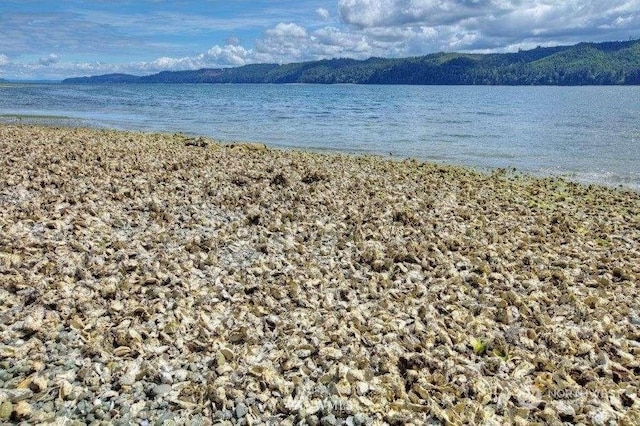 property view of water with a mountain view