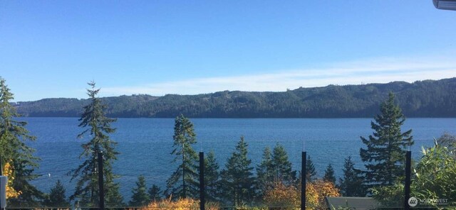 60 N Hamma Ridge Dr, Lilliwaup, WA 98555 - photo 1