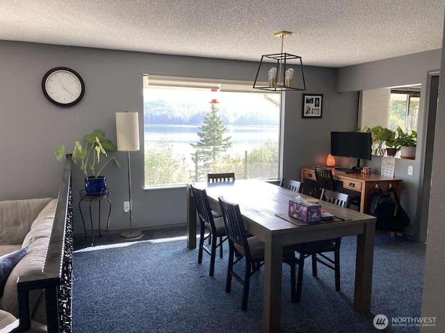 60 N Hamma Ridge Dr, Lilliwaup, WA 98555 - photo 14
