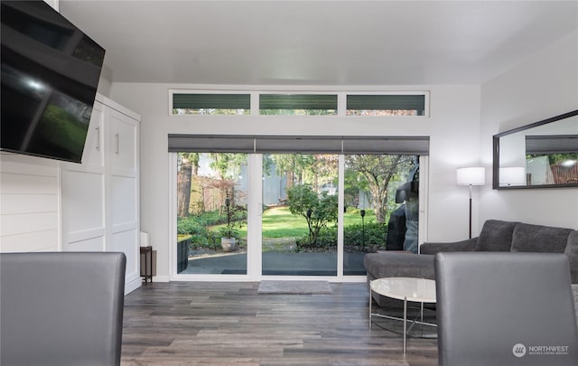 living room featuring plenty of natural light and dark wood-type flooring