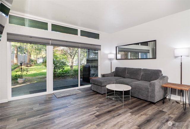 living room with wood-type flooring