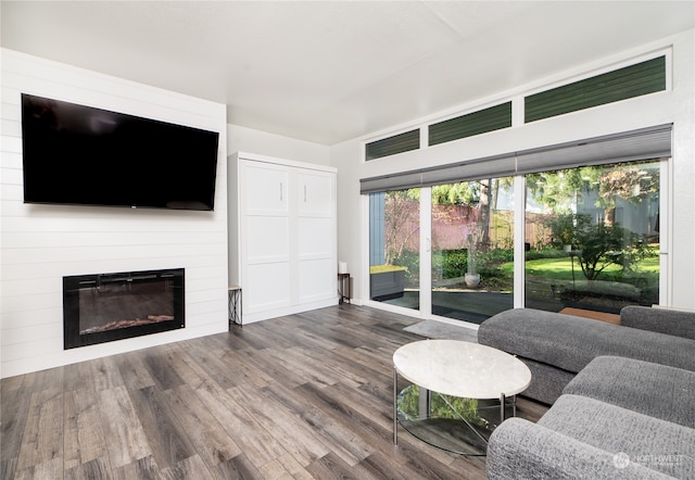 living room with hardwood / wood-style floors and a large fireplace