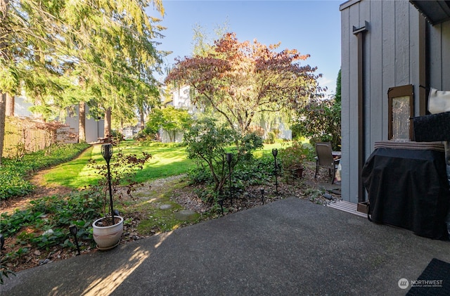 view of yard featuring a patio