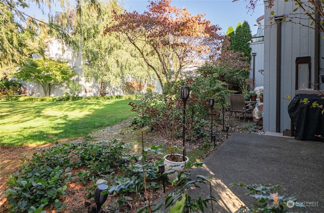 view of yard featuring a patio