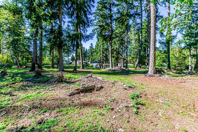 32605 22nd Ave S, Roy, WA 98580 - photo 36