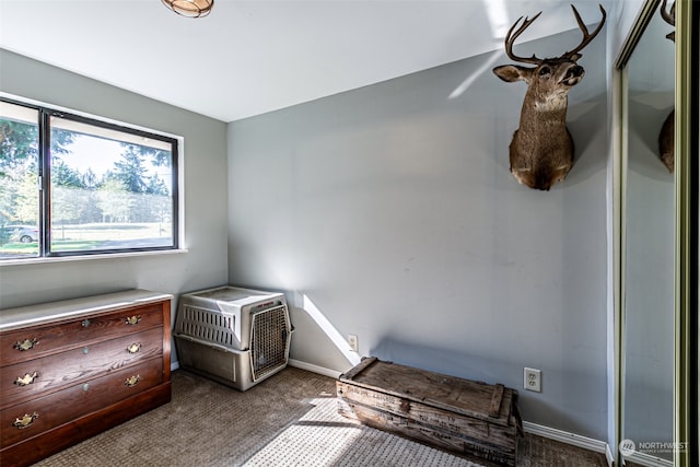 32605 22nd Ave S, Roy, WA 98580 - photo 17