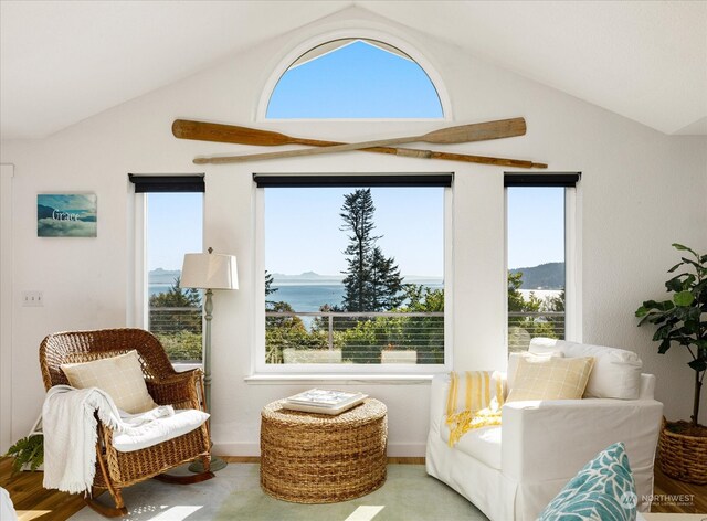 sitting room with a water and mountain view, a healthy amount of sunlight, and lofted ceiling