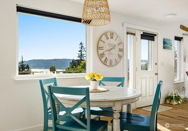 dining space featuring a mountain view and hardwood / wood-style flooring