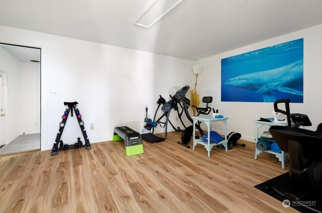 workout area with wood-type flooring