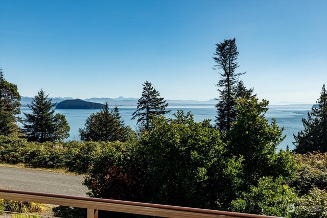 property view of water featuring a mountain view