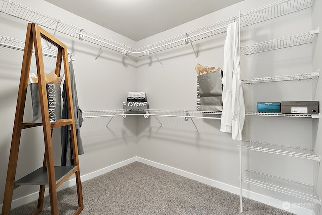 walk in closet featuring carpet floors