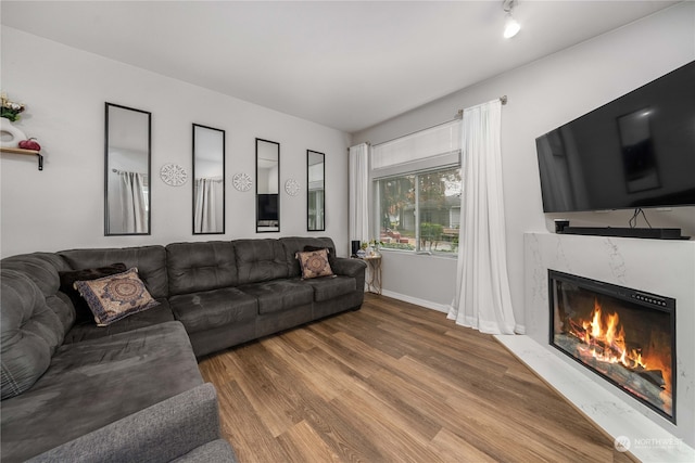 living room featuring hardwood / wood-style flooring and a fireplace