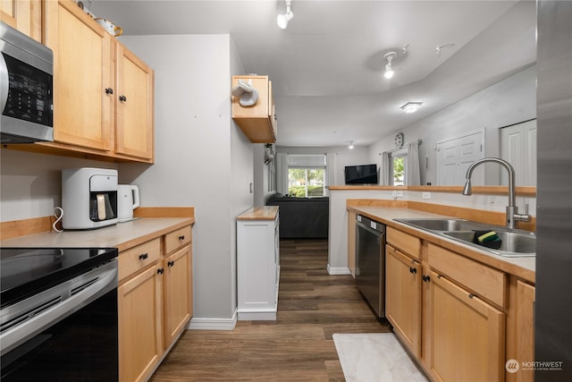 kitchen with light brown cabinets, stainless steel appliances, dark hardwood / wood-style floors, and sink