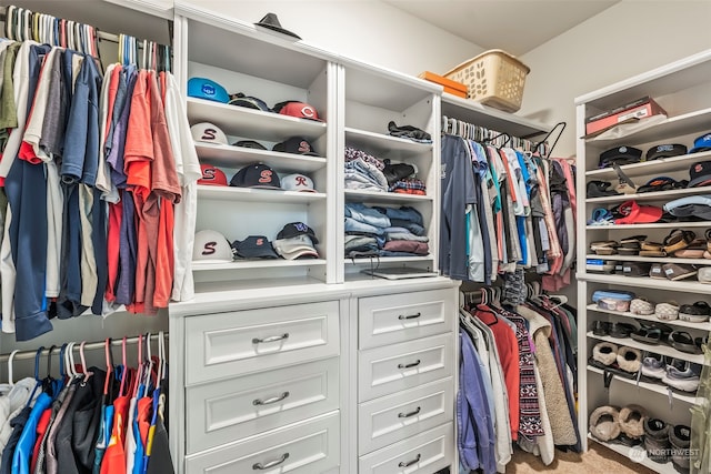 walk in closet featuring carpet