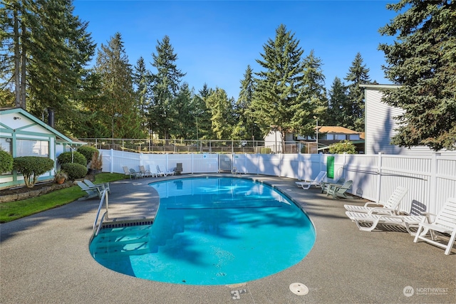 view of swimming pool featuring a patio area