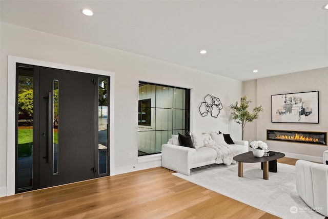 living room featuring wood-type flooring