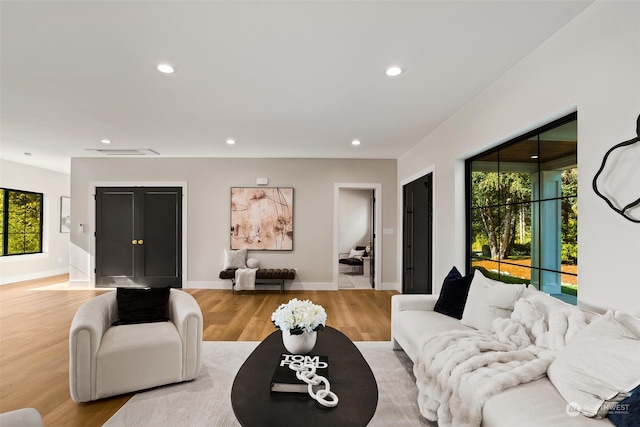 living room featuring light hardwood / wood-style flooring and a wealth of natural light