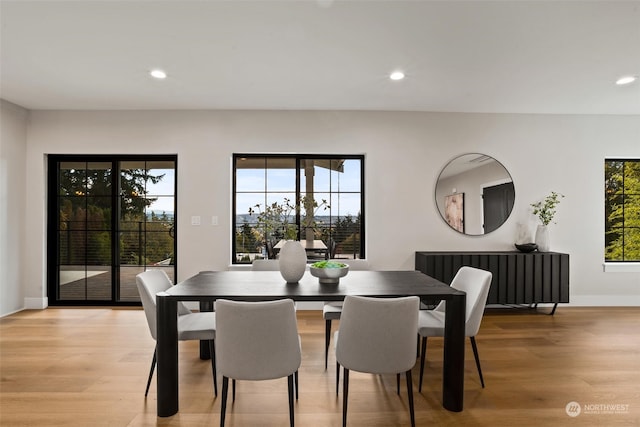 dining room with light hardwood / wood-style flooring