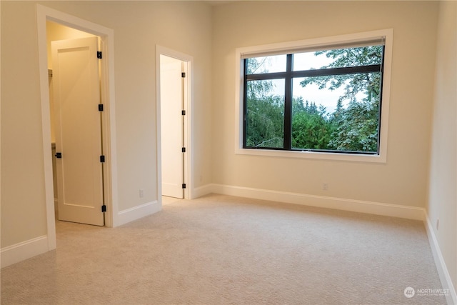 10368 Kaylen Pl, Bellevue, WA 98004 - photo 26