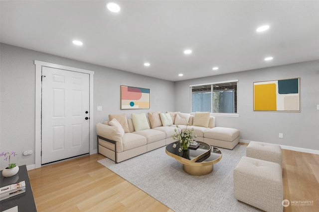 living room featuring wood-type flooring