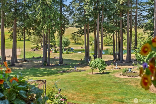 221 Diekman Rd, Chehalis, WA 98532 - photo 25