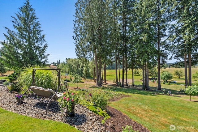 221 Diekman Rd, Chehalis, WA 98532 - photo 29