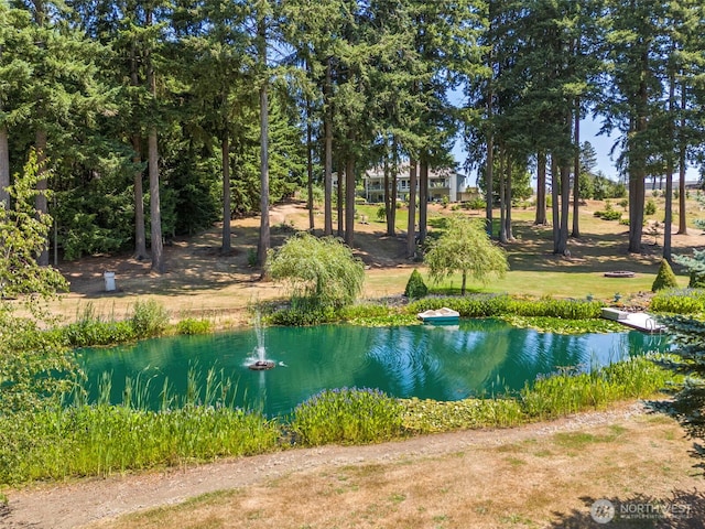 221 Diekman Rd, Chehalis, WA 98532 - photo 31