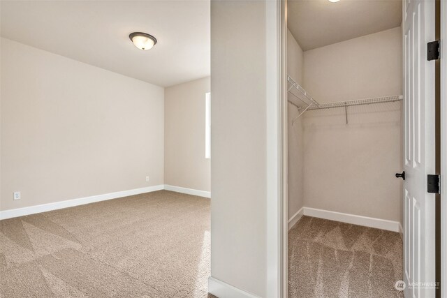 spacious closet featuring carpet flooring