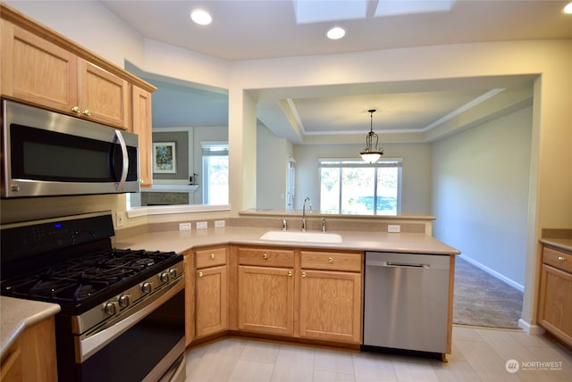 kitchen featuring sink, a raised ceiling, light carpet, stainless steel appliances, and decorative light fixtures