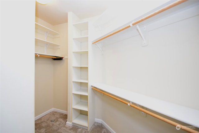 spacious closet featuring light colored carpet