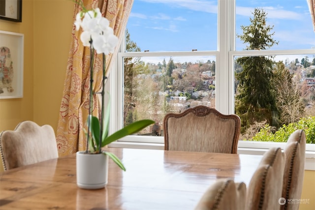 view of dining space