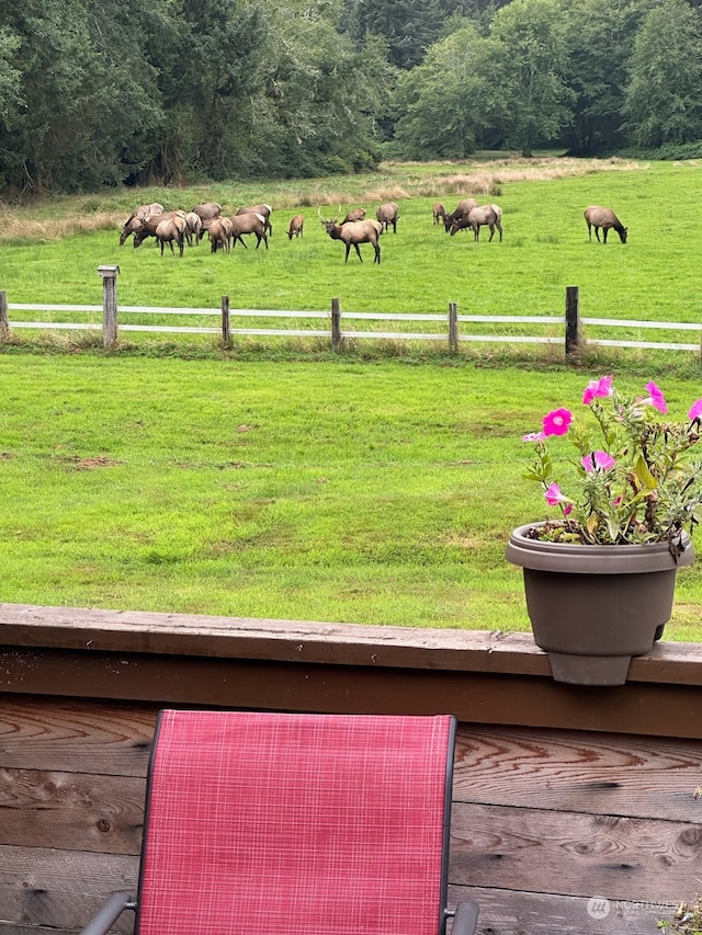 view of yard featuring a rural view