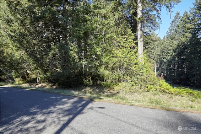 10423 Lake Josephine Blvd, Anderson Island, WA 98303
